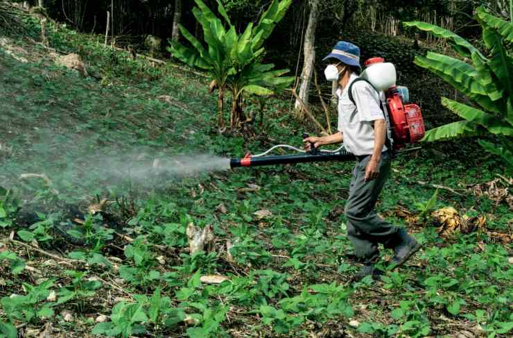 Preoccupa la presenza di pesticidi su frutta e verdura