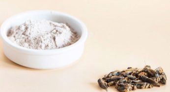 In Italia ora esistono alimenti che contengono la farina d’insetti, ecco quali sono