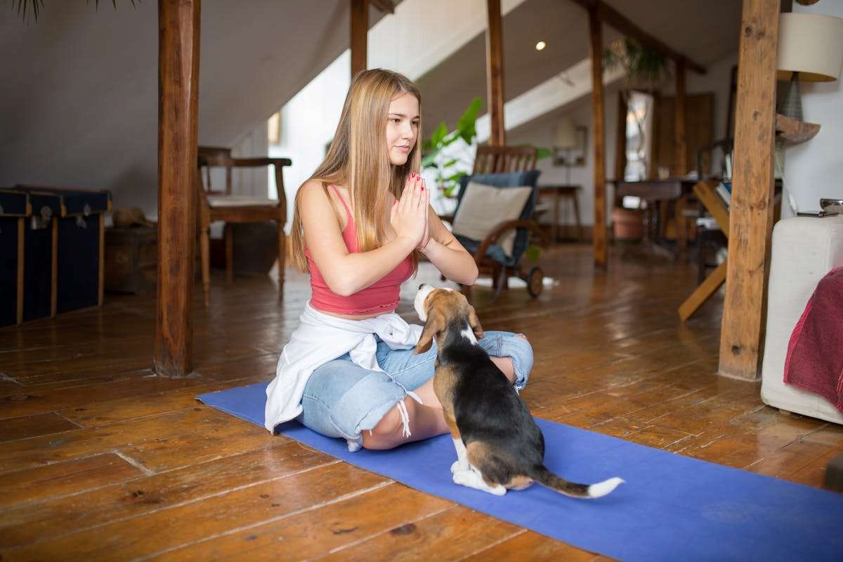 Puppy yoga