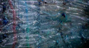 Basta buste di plastica e campioncini, ma non vale per l’insalata confezionata: ecco cosa cambia