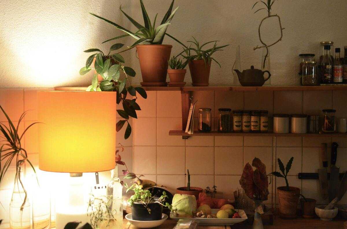 Cesto Di Halloween A Forma Di Zucca Con Coperchio – Portaoggetti In Vimini Intrecciato – Decorazione Casa Antipolvere Per Soggiorno O Camera