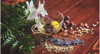 Ecco le migliori tisane drenanti, la pancia piatta è assicurata