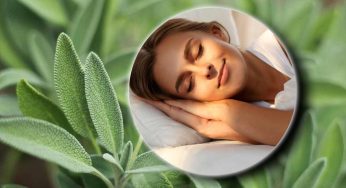 Rimedio naturale per il benessere: grazie a lei dormi meglio e ti sgonfi