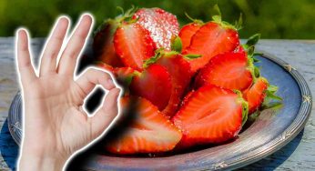 Le fragole non sono tutte buone: questi sono i 4 fattori da considerare prima di comprarle