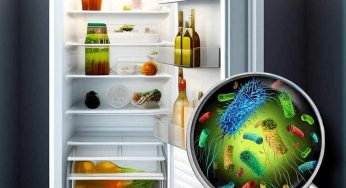 Il frigorifero è un nido di batteri: puliscilo con il metodo del ristorante in sole 4 mosse