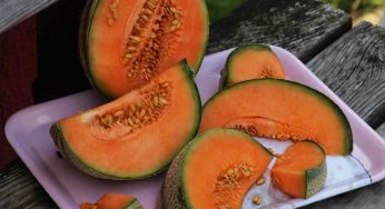 Scegli sempre il melone dal gusto cattivo? Cambia metodo: in questo modo comprerai una delizia