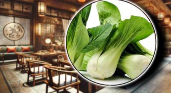Cos’è il Pak Choi, il tesoro verde dalla cucina orientale sta conquistando l’occidente