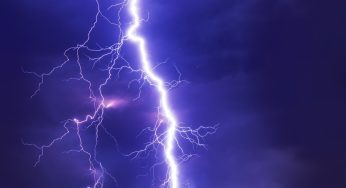 Fulmine disintegra un albero: le immagini shock che stanno facendo il giro del web
