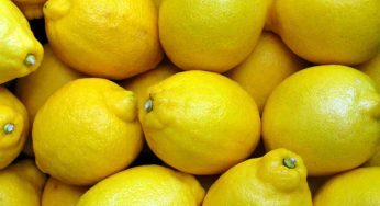 Conserva i semi dei limoni e usali in questo modo: valgono oro e tu li butti sempre via