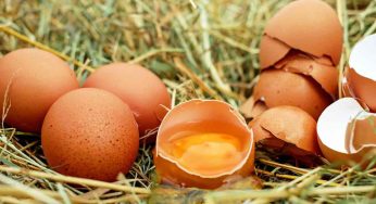 Se le uova hanno questo colore non mangiarle assolutamente: rischi la tua salute gravemente