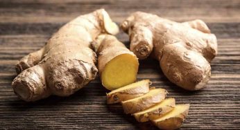 Dimentica lo zenzero a dieta, usa solo questo prodotto naturale e perderai peso in poco tempo